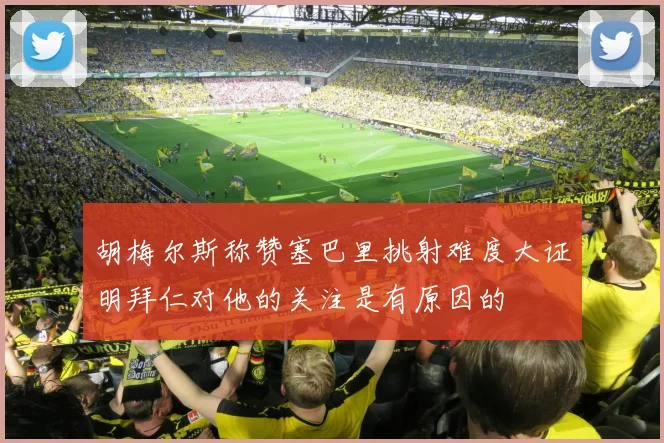 胡梅尔斯称赞塞巴里挑射难度大证明拜仁对他的关注是有原因的