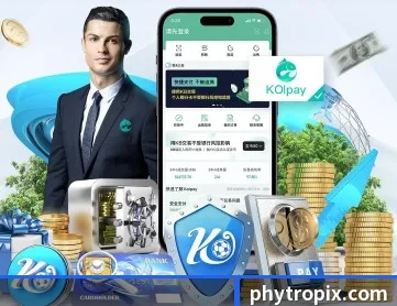 半岛网页版登录入口 APP